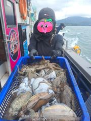 여수뉴포시즌9/27(일)갑오징낚시조황