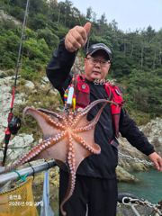 9월27일 팀보스선단 문어 조황 사진