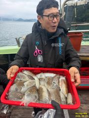 여수그린나래호/ 9월 27일 여수갑오징어낚시조황!!(블루미르호 계속해서 갑오징어낚시 예약가능) 사진