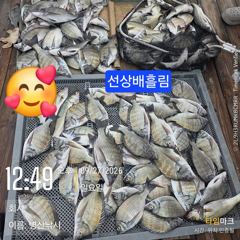 [고성] 병산 감성돔44외 마리수 농어 마리수 선상배&선외기흘림조황~