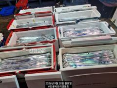 경동호 외줄 16석씨알좋아요.쿨러조항~오늘 월화수쭉예약가능