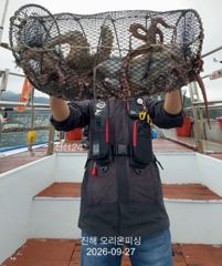 야간문어!문어 사이즈가 너무 좋아졌습니다~오늘예약가능.