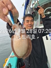28일, 군산 갑오징어 본격시즌~오늘 나오고 있어요~실시간~군산낚시프라자 나드리호 사진