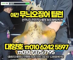 (무늬오징어)오늘 출항확정 원도권 K급 외 무시들~대양호