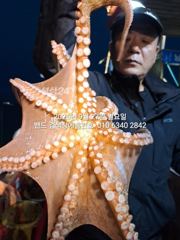 9월27일 홈런호 굿 조황....군산 홈런호 야간 문어 마무리 조황 입니다. 손맛 보러 홈런호로...고고싱! 오늘하루도 수고 하셨습니다