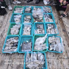 무창포 대진피싱 9월27일 쭈꾸미 조황입니다~