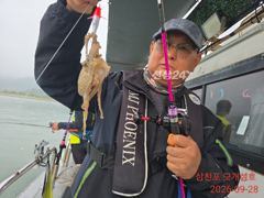[사천] 덩치 큰 삼천포 쭈꾸미...건치러가입시다!!