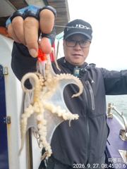 [사천] 27일 왕쭈꾸미 사리물때 조항 좋습니다 ~29일 화욜 예약가능 … 사진