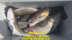 2026 09 28 대구라바 사진