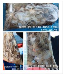 광진호,왕쭈 장원145수{평일,할인}쭈꾸미 자리여유 예약중 사진