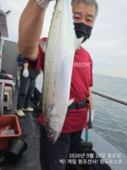 [경주] 9/28 오전 한타임 대고시 삼치 만쿨조황! (화/수/목-모집중…