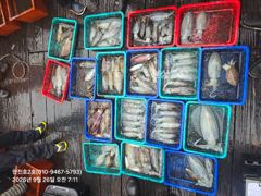 [포항] 만진2호 팁런 조황 9/26