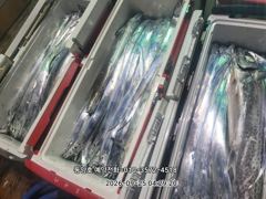 [통영] (왕갈치)도끼입질 3지4지 외 大삼치까지 쾅쾅~동양호(29일 예… 사진