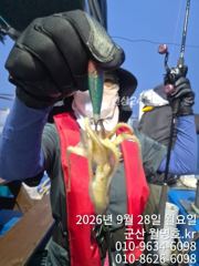 28일 오전반 실시간