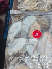 28일 쭈꾸미 오후반