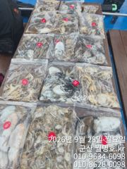 28일 쭈꾸미 오후반 사진