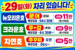 <크라운호> 갑오징어 굿!~조황(28일)-내일자리있습니다 사진
