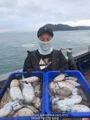 여수뉴포시즌9/27(일)갑오징낚시조황