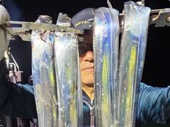[진해] 내만갈치~대박조황!씨알급갈치!쿨러넘치게잡고,화요일출항(예약가능)