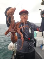 다이아몬드호 글만 보기 사진
