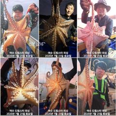 (여수 드림스타)돌문어사냥 나갑니다. 돌문어만 공격! 자리여유 많아요 사진