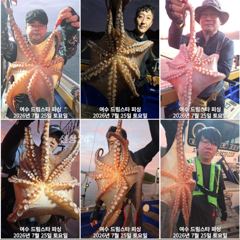 (여수 드림스타)돌문어사냥 나갑니다. 몇자리여유 사진