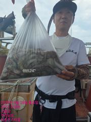 9월28일 팀보스선단 문어 조황 사진