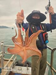 [진해문어낚시] 굵직굵직 돌문어의 찐한 손맛~!! 내일도 계속해서 달립니다^0^ 사진