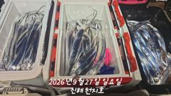 내만 갈치 바글바글 골고루 잘 올라오네요!!(예약가능)
