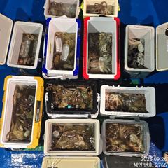 계속해서 쏟아지듯 올라와 대~박치고 잡고온 야간`돌문어 잡으러 출조 갑니다@ㄴ화,수,목요일~몇 자리 예약가능 사진