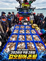 [쭈갑조황] 9.28 하와이호 갑오징어 조황소식 사진