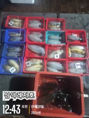 [팁런] 갈도 ,무시급들 (월,화,수 원도권,집중,출조) 사진
