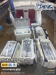 소수인원 대박조황 갈치 썩었습니다