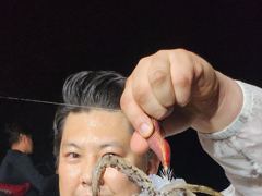 [고성] 정비완료 화요일 몬스터 사냥 출동합니다