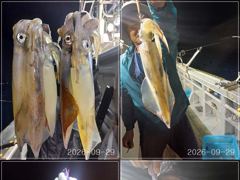 [통영] [VIP 광명호] 한치때 다단 채비10개에 10마리 씩 주렁주렁… 사진