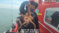 루어파이터호-9/28 월 [9물] 쭈꾸미/갑오징어 11명 조항 입니다. 사진
