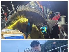 [거제] 어초ㆍ여밭감성돔 46.42.41 터지고 뺀찌 타작~ 사진