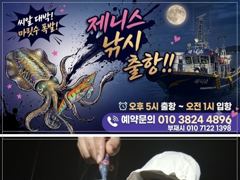 2시간전 [진해] 27일 무늬오징어 덩어리들!히트히트히트!