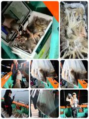 [포항] 돌문어 폭팔!! 28일실시간 뉴대양호