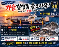 30일(수)마릿수감성돔출조(예약가능)~