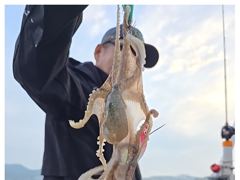 28일(월)대사리에도 손맛주는 쭈꾸미조황!!내일30일(수)자리여유있습니다