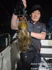 30일 거문도 무늬 오징어 출조합니다