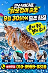 ●군산리더호 내일 갑오징어출조 합니다●