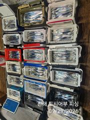 29일새벽 씨알좋은 내만갈치 계속되는 대뱍행진~!! 오늘 예약가능