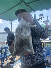[사천] 이번주 쭈꾸미 출조합니다 자리여유 다음주도 자리여유 많습니다