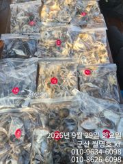 29일 쭈꾸미오후반 사진