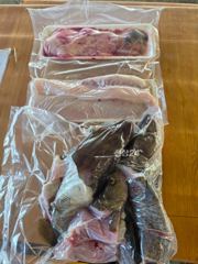 29일 공현진항 안슨장호 대구타이라바조과입니다.