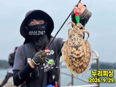 내일 1자리여유 주꾸미 왕주꾸미. 더블더블 트리플 마리수보다 씨알로 삼천포누리피싱