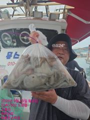 녹동몬스터호 29일 큰 놈만 잡는^^ 문어 조황. 사진