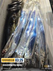 [진해] 준내만갈치! 황금피딩! 황제낚시예약가능! 전화주세요~ 사진